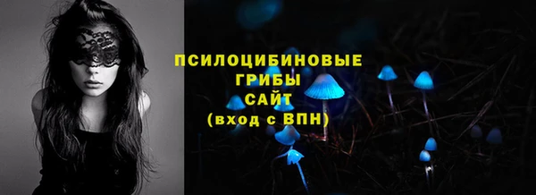 метадон Армянск