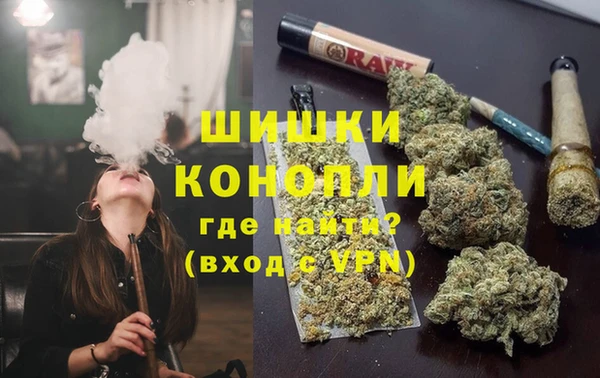ПСИЛОЦИБИНОВЫЕ ГРИБЫ Арсеньев