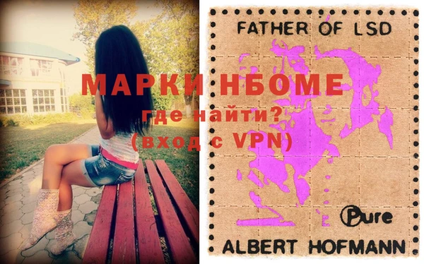 ПСИЛОЦИБИНОВЫЕ ГРИБЫ Арсеньев
