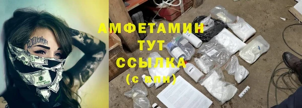 ПСИЛОЦИБИНОВЫЕ ГРИБЫ Арсеньев