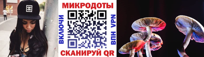 Псилоцибиновые грибы Psilocybe blacksprut tor Сатка